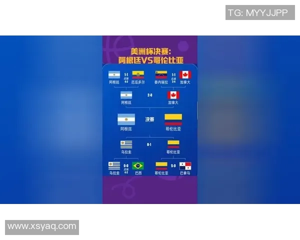 哥伦比亚与法国精彩对决出场阵容分析与战术布局探讨