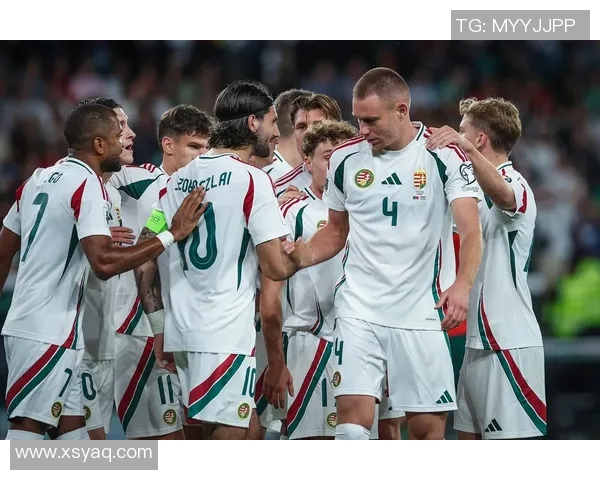 索博斯洛伊的历史渊源与文化传承探秘之旅