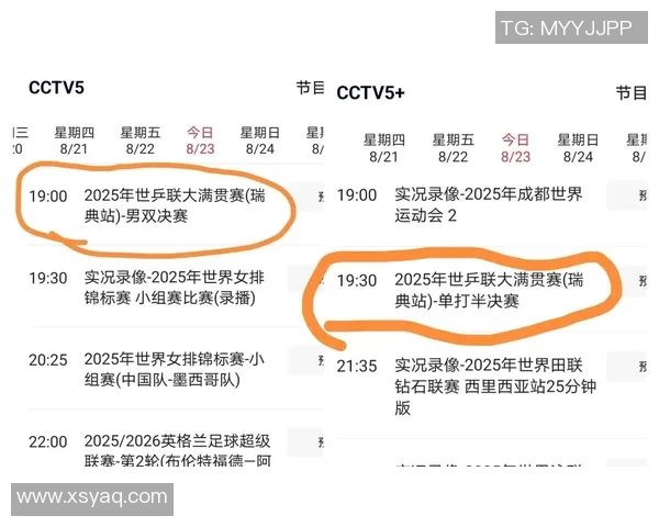 CCTV5直播德国对阵瑞典精彩赛事回顾与分析