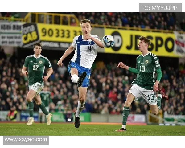 德国与芬兰在2000欧预赛中的激烈对决回顾与分析