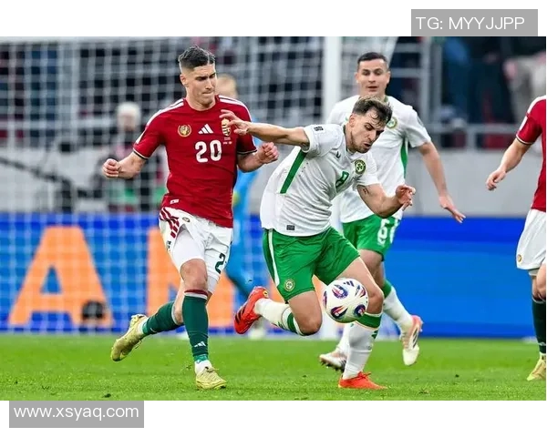 爱尔兰与波兰足球历史交锋记录分析及比分回顾 爱尔兰与波兰足球历史交锋记录分析及比分回顾