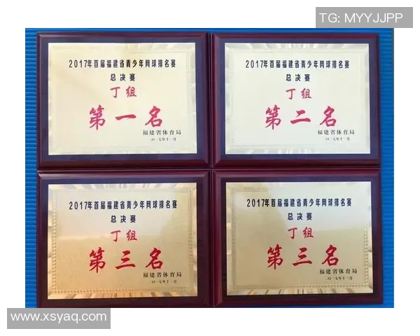 杭州网球队与西安网球队赛后分析力量对比与战术探讨MBA