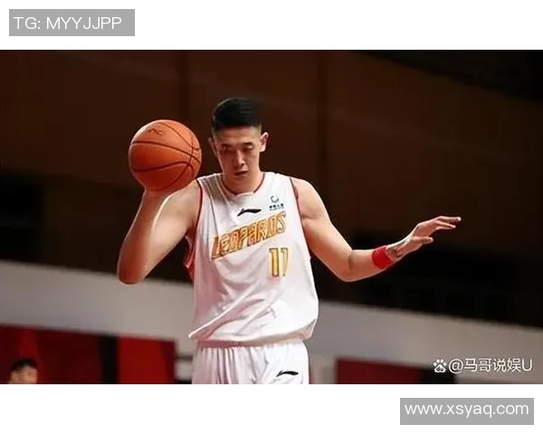 沈梓捷：从青年才俊到篮球明星的成长之路与奋斗历程