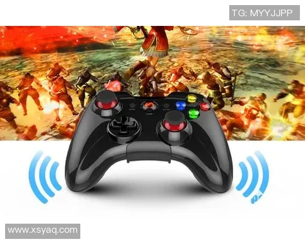 赵磊畅谈CSGO职业生涯与游戏发展历程的深度专访