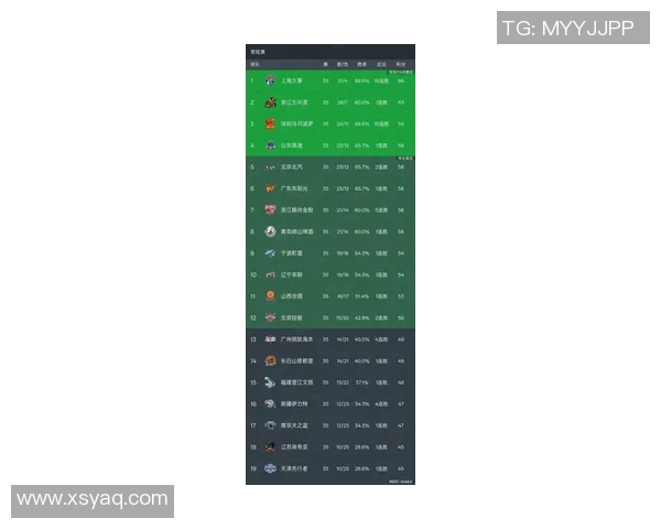 南京篮球队在联合会杯积分榜中以65分稳居第一名展现强劲实力