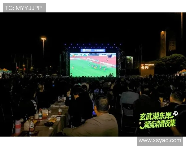 南京足球队实力变革引发热议球迷期待新篇章的崛起与挑战